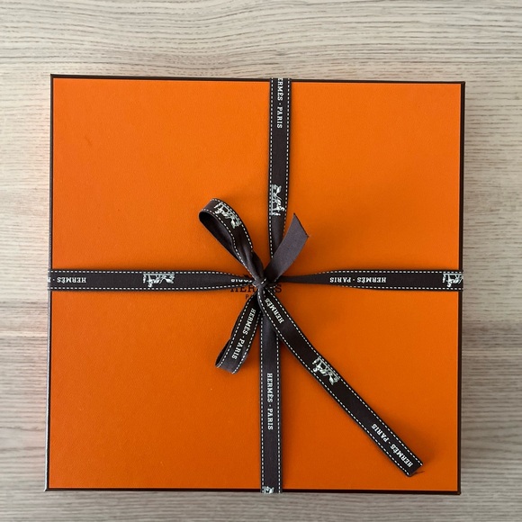 🧣 Hermes Peinture Fraiche Scarf 45 - Brand New - Picture 8 of 8